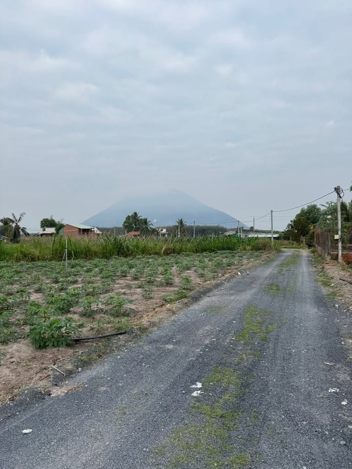 Đất nền 135m² tại xã Phan, Tây Ninh - Giá chỉ 269 triệu, chính chủ bán gấp!