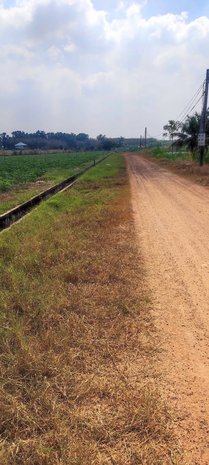 Đất nông nghiệp 2.5 công tại xã Chà Là, giá 750 triệu - Cơ hội đầu tư hấp dẫn!