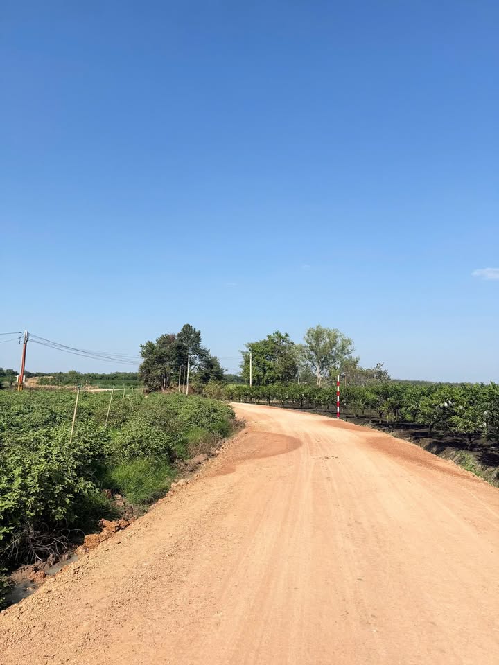 Đất nền Suối Đá DMC 250m² giá chỉ 2xx triệu - Vị trí tuyệt đẹp!