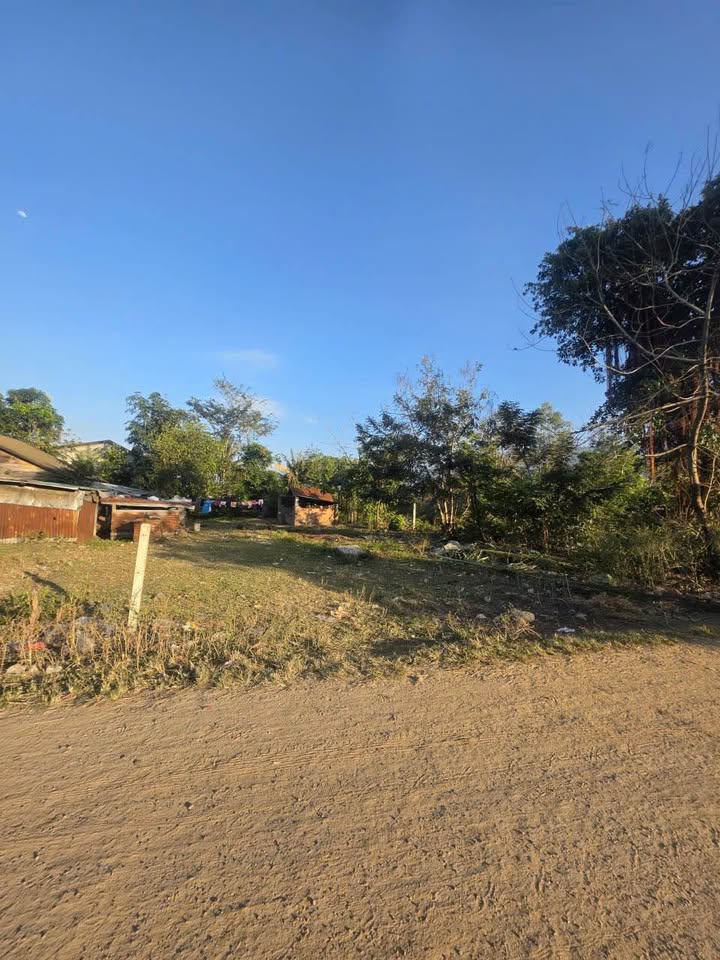 Lô đất 145m² tại Xã Ea Trul, Huyện Krông Bông chỉ 135 triệu - Cơ hội đầu tư hấp dẫn!