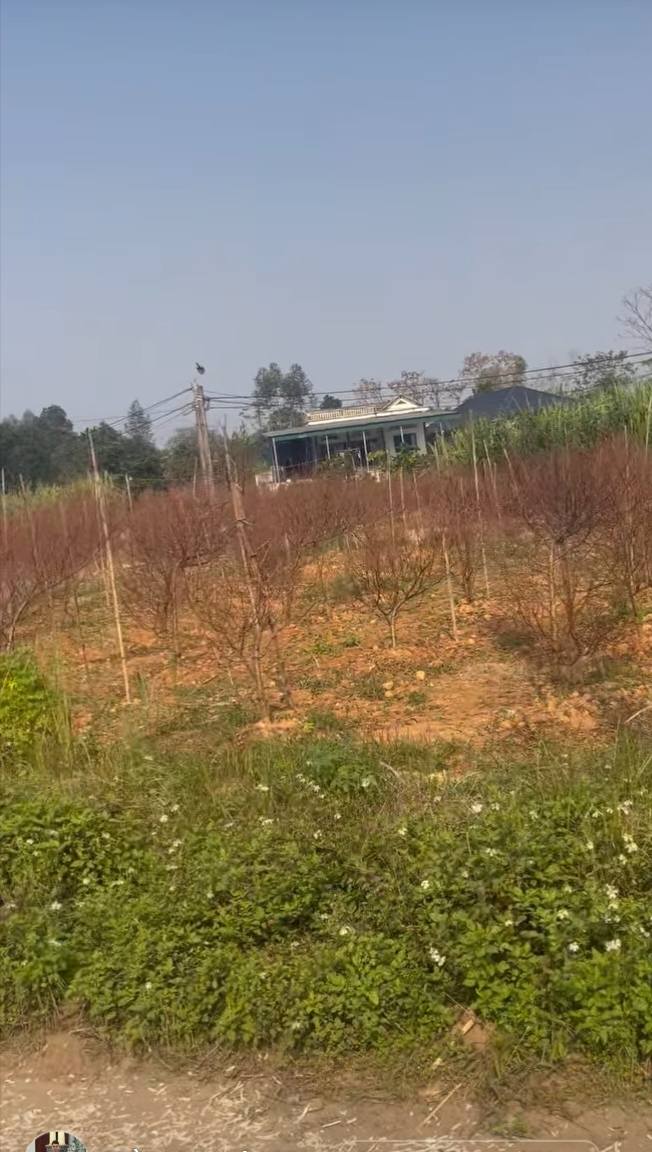 Đất thổ cư 100m² Khu TDC Km5 Phú Thọ - Đầu tư sinh lời tiềm năng!