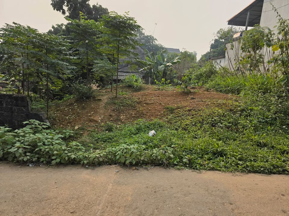 Đất thổ cư khu phố 1 Võ Lao, Thanh Ba 175m² giá thỏa thuận - Đường lớn thông thoáng