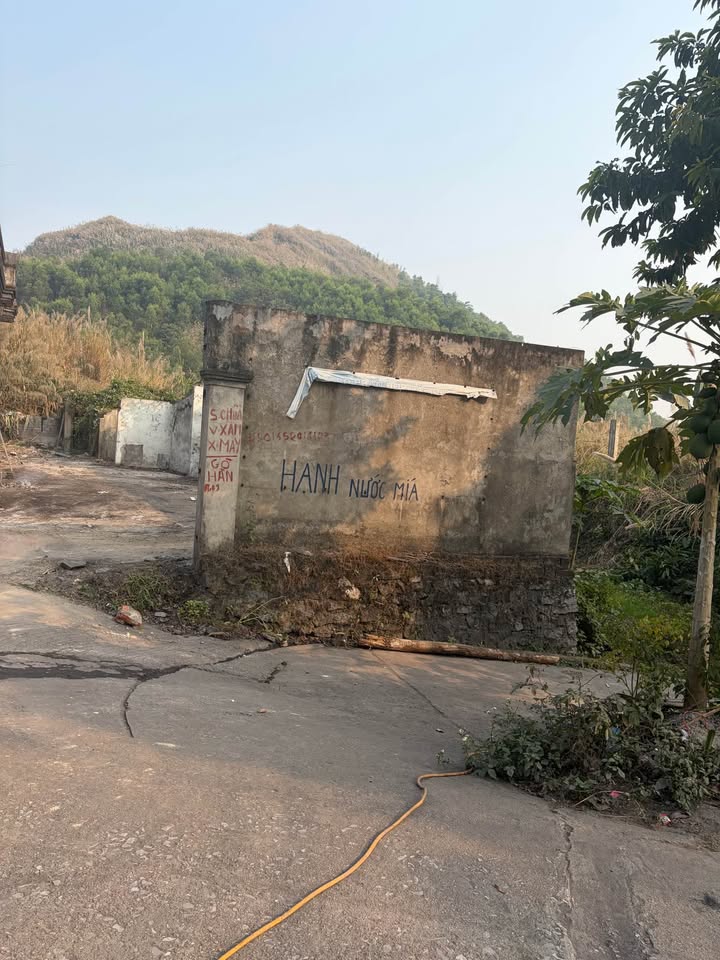 Đất thổ cư 230m² Phường Quyết Thắng, TP Thái Nguyên - Giá chỉ 600 triệu