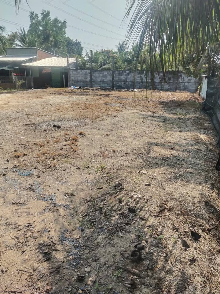 Đất mặt tiền nhựa ấp 6 xã Tâm Hiệp 636m² giá 3.8 tỷ - Cơ hội đầu tư tuyệt vời!