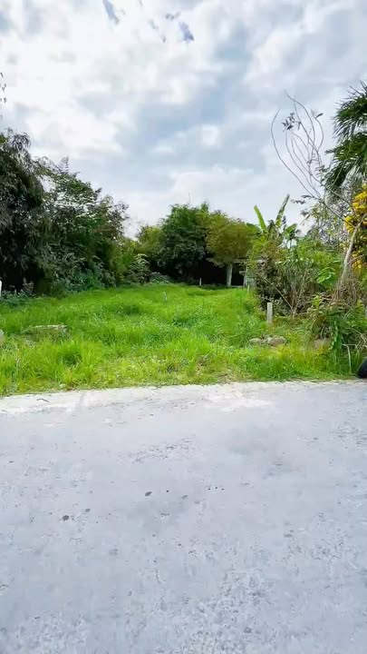 Đất thổ cư Phù Ly, Vĩnh Long 212m² - Đầu tư sinh lời lý tưởng!