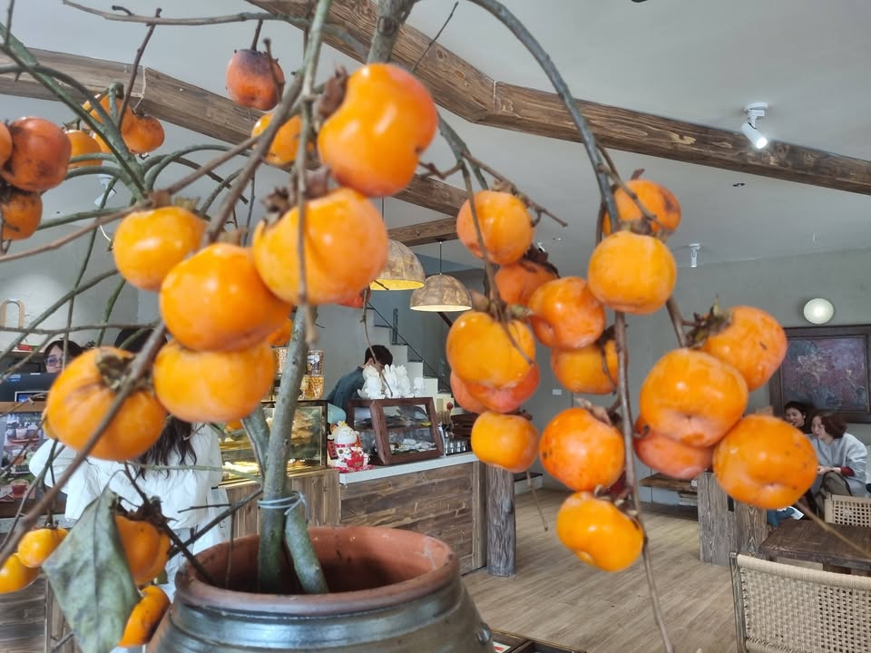 Căn hộ 2 ngủ OASIS Hưng Yên 68m² giá 5.3 tỷ - Sổ đỏ chính chủ, full nội thất cao cấp!