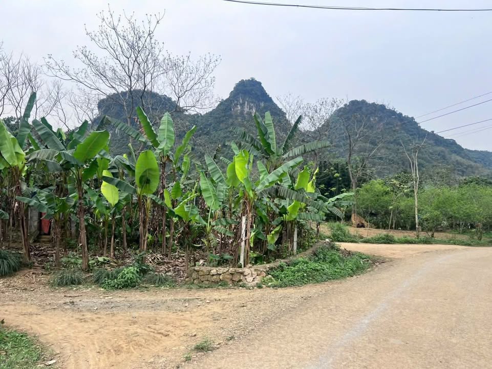 Đất nền lô góc 2 mặt đường tại Thung Mường, Kim Bôi, Hòa Bình - Diện tích 2092m² giá chỉ 2.x tỷ