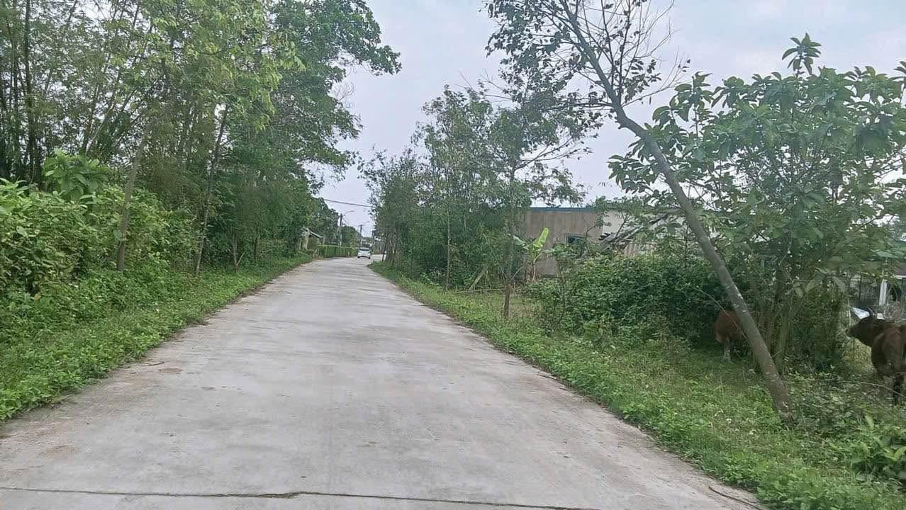 Đất nền TDP Mỹ Triều, Phường Hà Huy Tập 119.7m² chỉ 1 tỷ - Đầu tư sinh lời tuyệt vời!