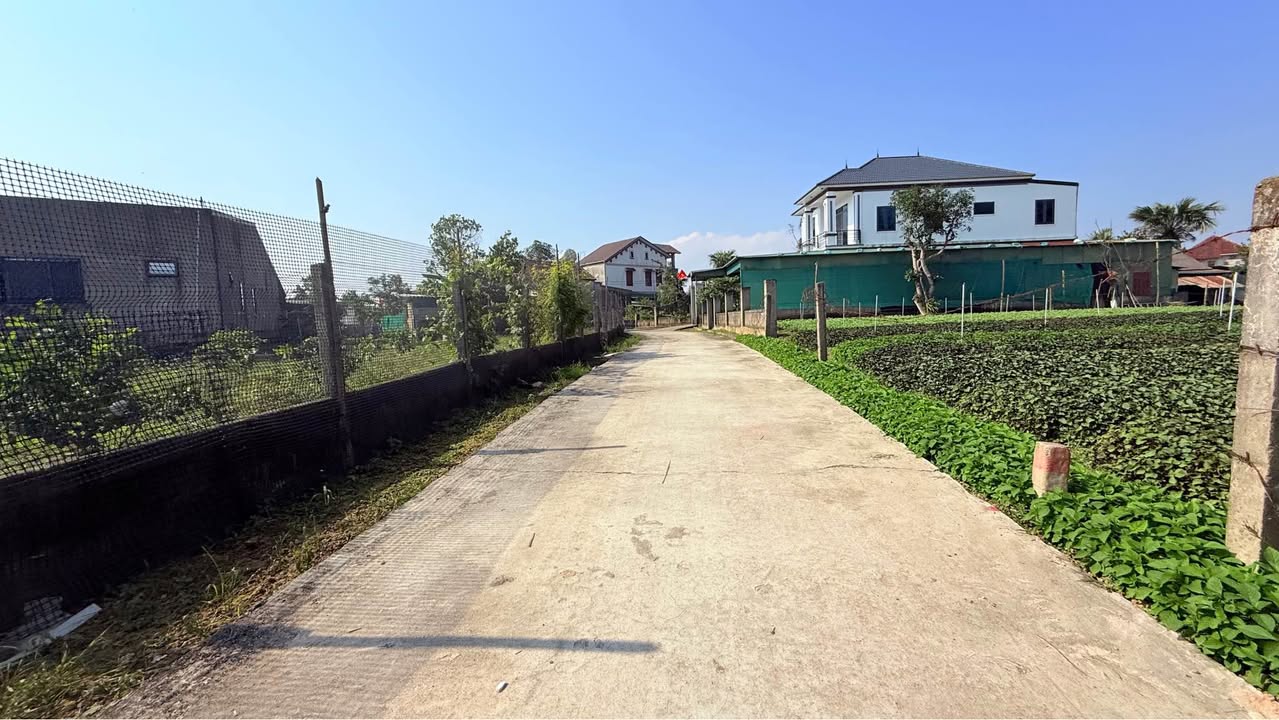 Đất nền Tân Lâm Hương, Thạch Hà 124m² chỉ 800 triệu - Cơ hội đầu tư hấp dẫn!