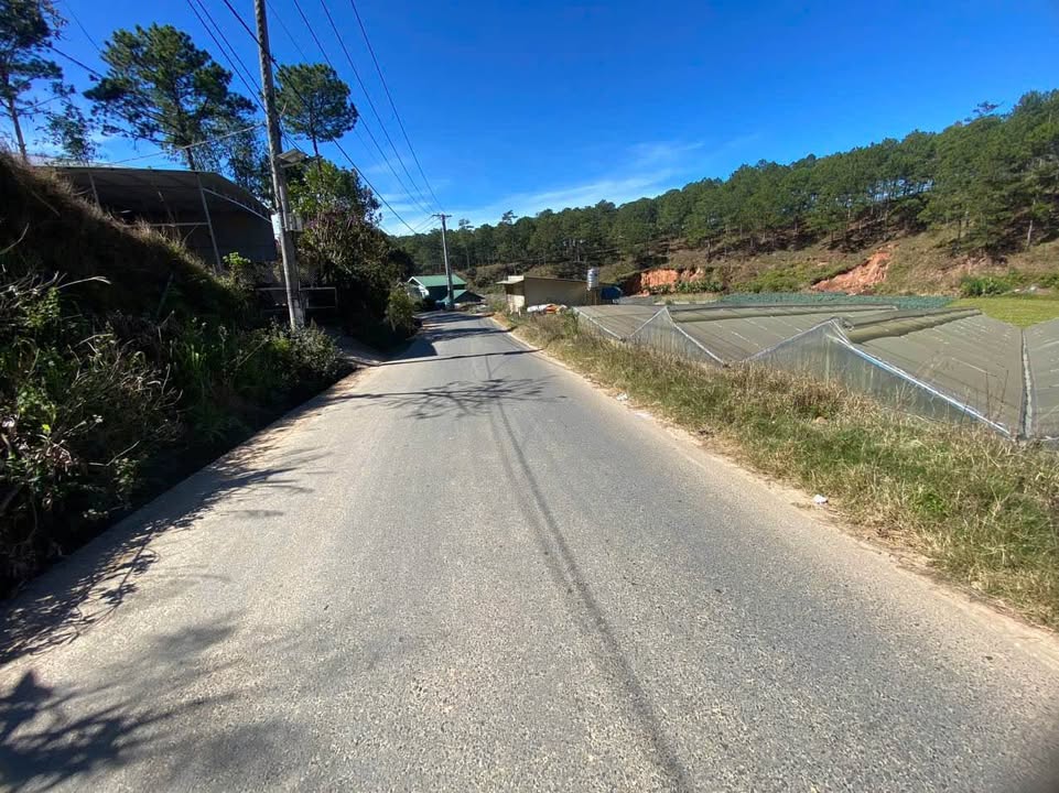 Đất nền Đa Phú Đà Lạt 726m² giá 4 tỷ - Đầu tư sinh lời ngay!