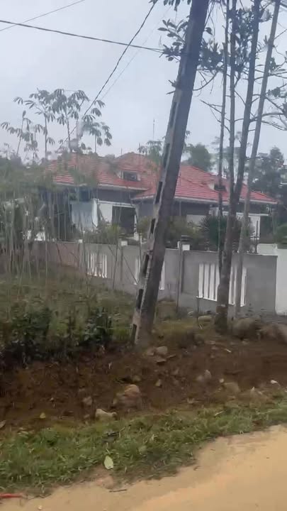 Đất thổ cư 591.6m² tại Tân Sơn, Phú Thọ - Giá chỉ 6 tỷ!