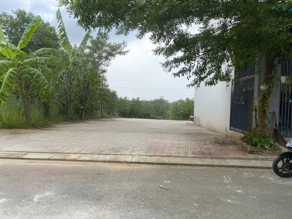 Đất nền D10 Long Thuận Villa Riverside 84.5m² giá 4.3 tỷ - Cơ hội đầu tư tuyệt vời!