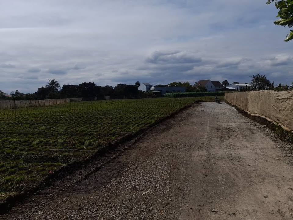 Đất nền Lý Thái Tổ, Liên Nghĩa 75m² giá từ 1.35 tỷ - Đầu tư sinh lời ngay!