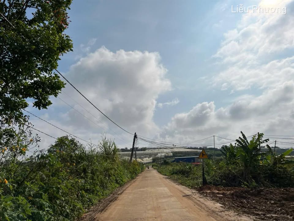 Đất nền 1020m² tại xã Quảng Lập, Đơn Dương - Giá chỉ 1.3 tỷ, đầu tư sinh lời!