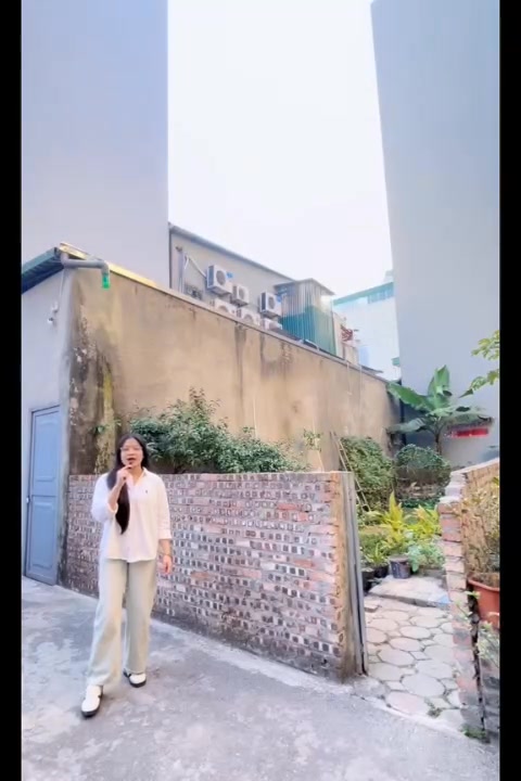 Lô đất chính chủ tại Ngõ 29 Phố Thành Trung, 55m² giá chỉ 10.464 tỷ - Đầu tư tiềm năng!