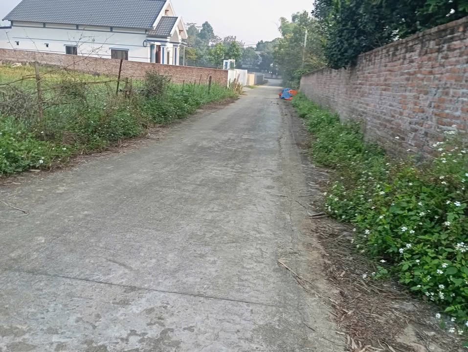 Đất Tản Lĩnh Ba Vì 4600m² giá 18.4 tỷ - Cơ hội đầu tư tiềm năng!