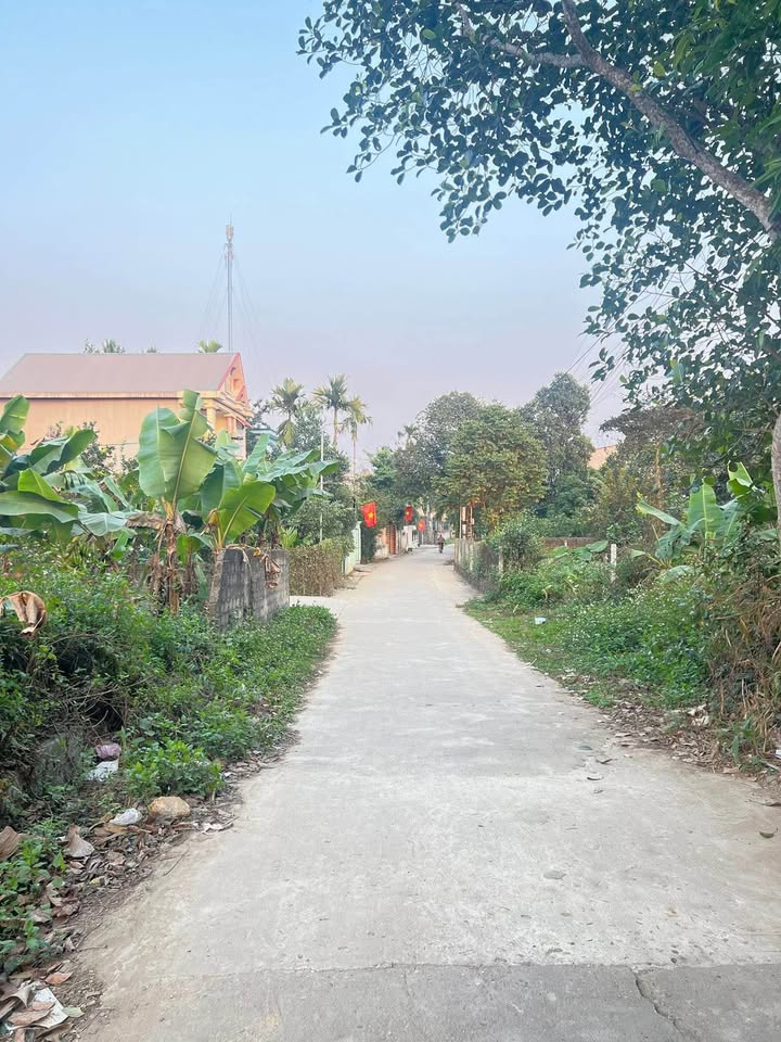 Đất thổ cư Kim Phú, Tuyên Quang 126m² giá 1 tỷ - Đầu tư sinh lời ngay!