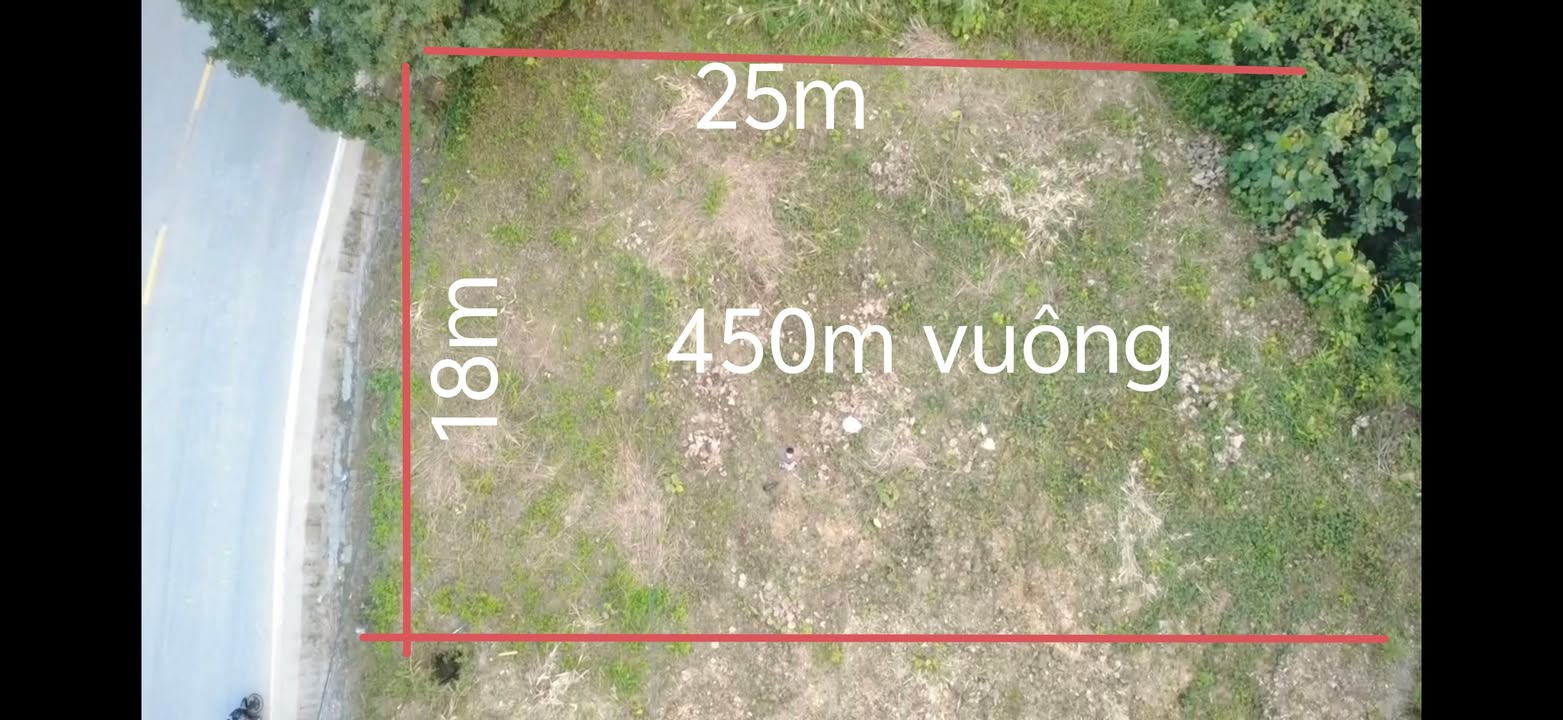 Đất mặt đường Quốc lộ 37, Thôn Thiên Tuế, 450m² giá 1.2 tỷ - Cơ hội đầu tư vàng!