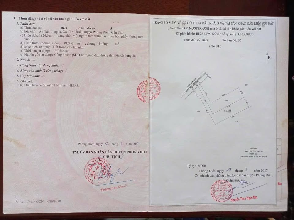 Đất CLN xã Tân Thới, Phong Điền 998m² giá 1.5 tỷ - Đầu tư lý tưởng cho nhà vườn!