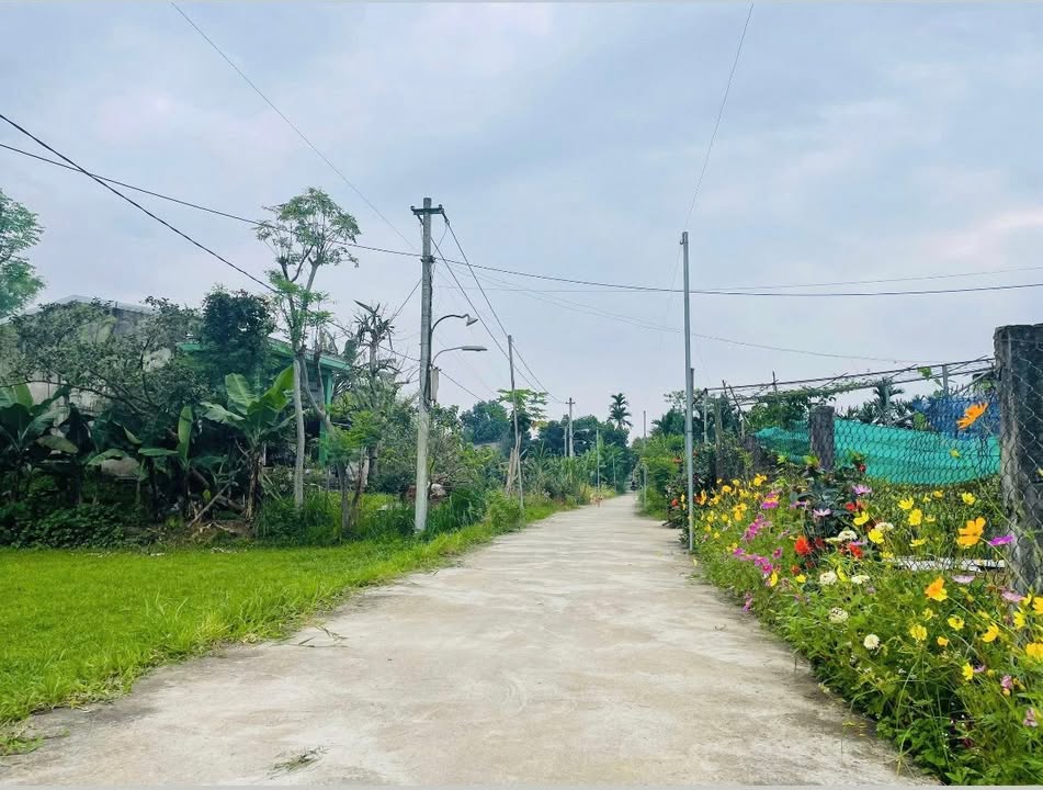 Đất nền Phong Thử 3, Điện Thọ 270m² giá 500 triệu - Cơ hội đầu tư tuyệt vời!