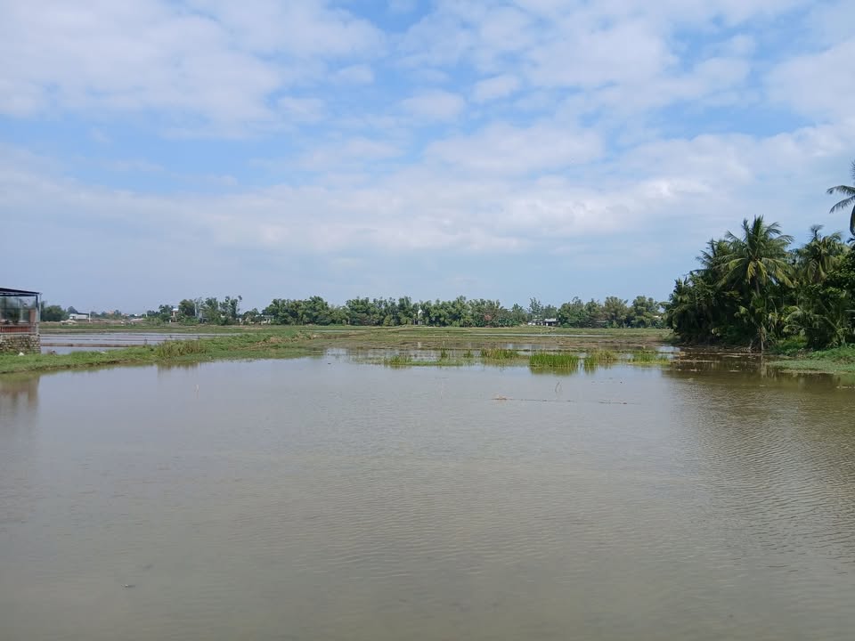 Nhà cấp 4 mặt tiền đường Đào Duy Từ Hội An 100m² - Vị trí đắc địa cho đầu tư!