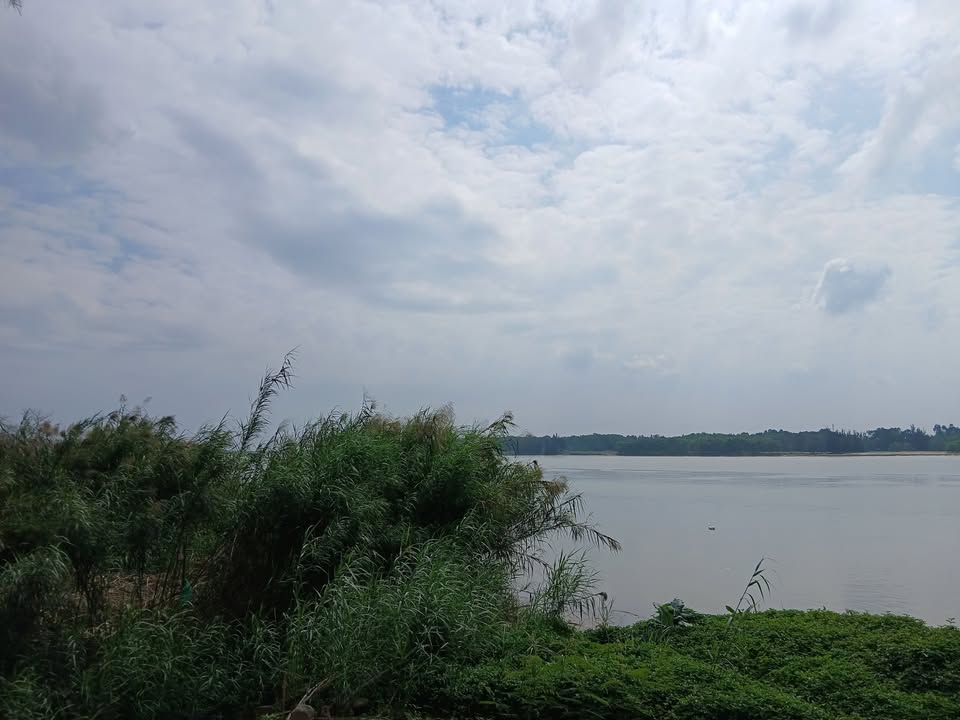 Đất ở Cẩm Thanh, Hội An 302m² - Bán gấp, giá thỏa thuận!