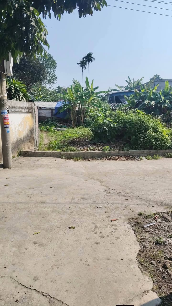 Đất Tân Hưng Vĩnh Bảo 104m² giá 1.4 tỷ - Đường ô tô vào tận nơi!