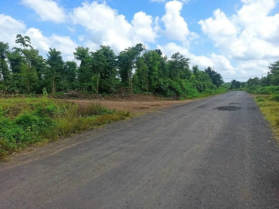 Đất nền Quảng Hiệp, Cư M'gar 612.7m² giá 250 triệu - Cơ hội đầu tư hấp dẫn!