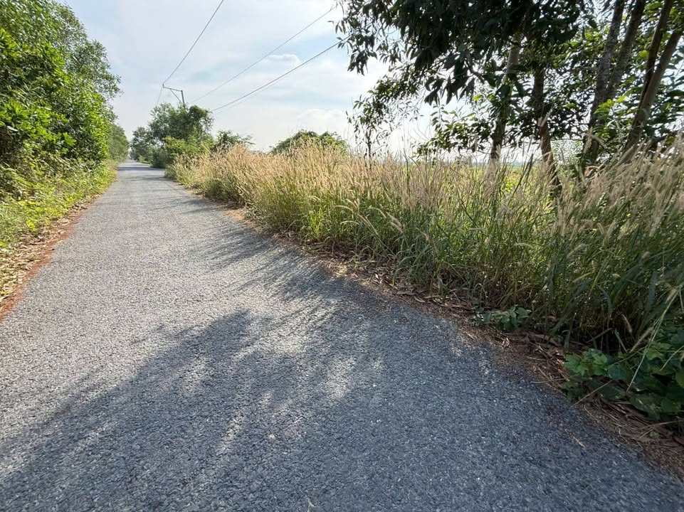 Đất vườn 18.000m² tại Tân Phước, Tiền Giang - Giá 6.48 tỷ, thổ cư 1.300m²!