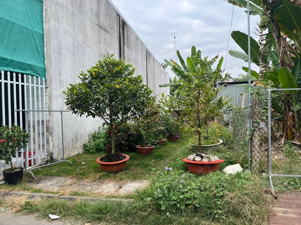 Đất nền Bà Triệu, Bình Thạnh Trung 83m² chỉ 700 triệu - Cơ hội đầu tư tuyệt vời!