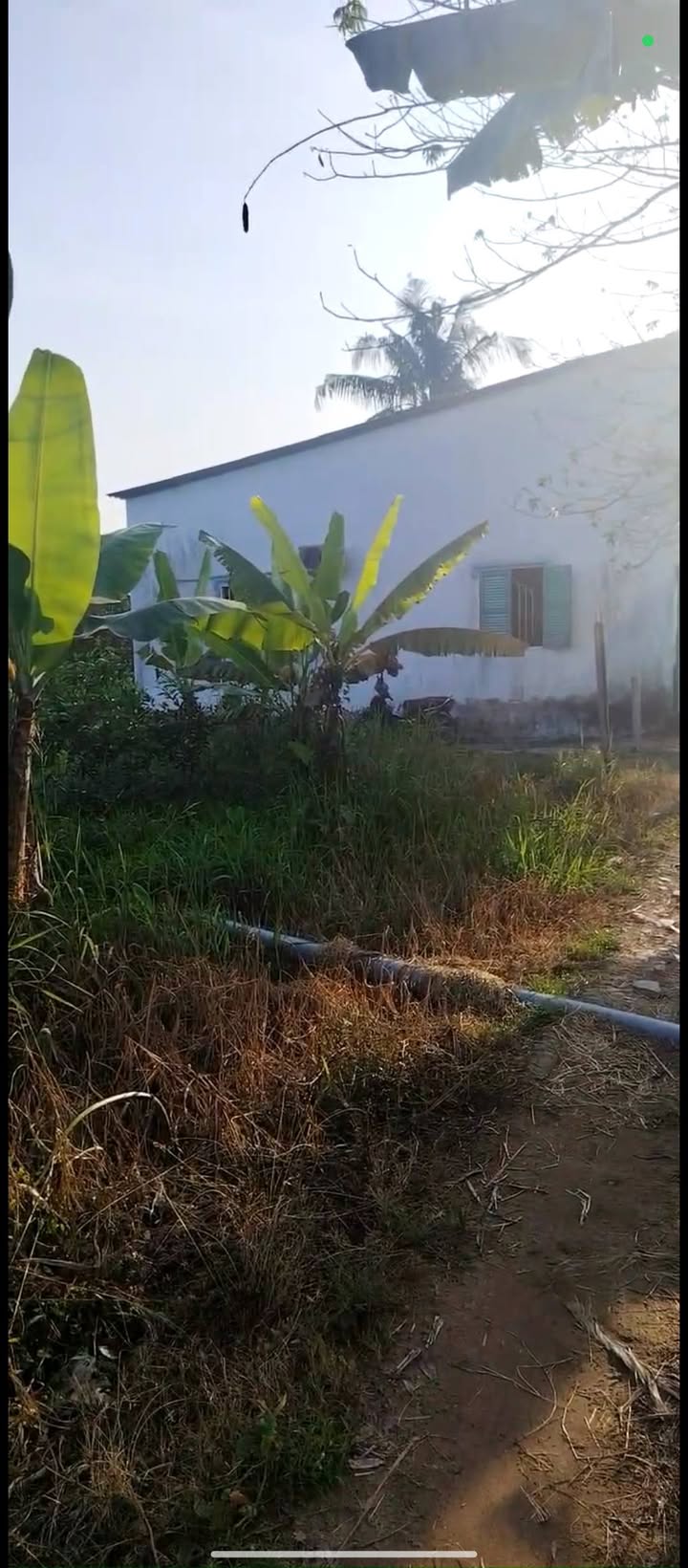 Đất nông nghiệp 1216m² Đông Phước, Cần Thơ - Giá chỉ 900 triệu, thương lượng nhẹ!