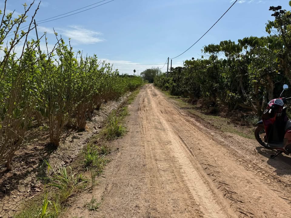 Đất thổ cư thôn Kim Phát, Xã Bình Thạnh 10800m² giá 1.5 tỷ - Cơ hội đầu tư tuyệt vời!