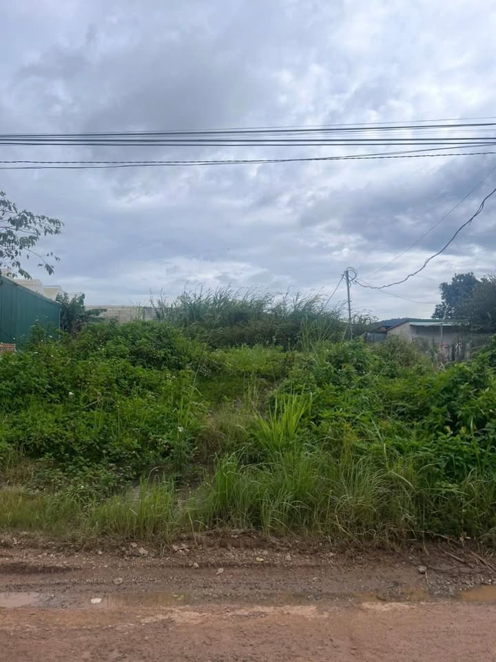 Đất nền xã Quảng Lập, Đơn Dương 700m² giá 11.9 tỷ - Sổ riêng pháp lý rõ ràng!