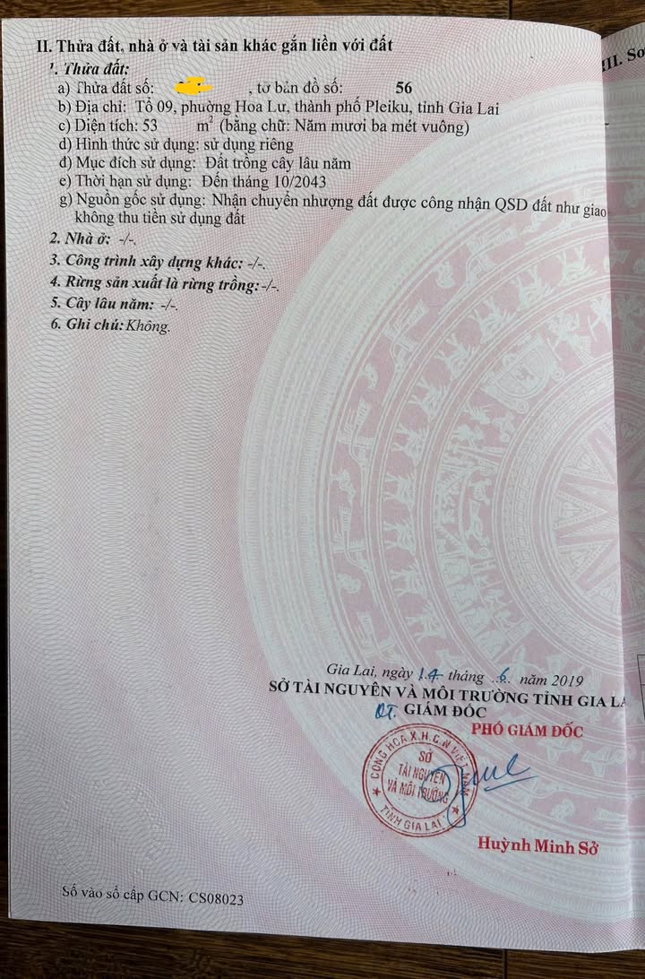 Lô đất góc 2 mặt tiền hẻm 262 Cách Mạng Tháng 8, Pleiku 200m² giá 5.4 tỷ - Đầu tư sinh lời cao!