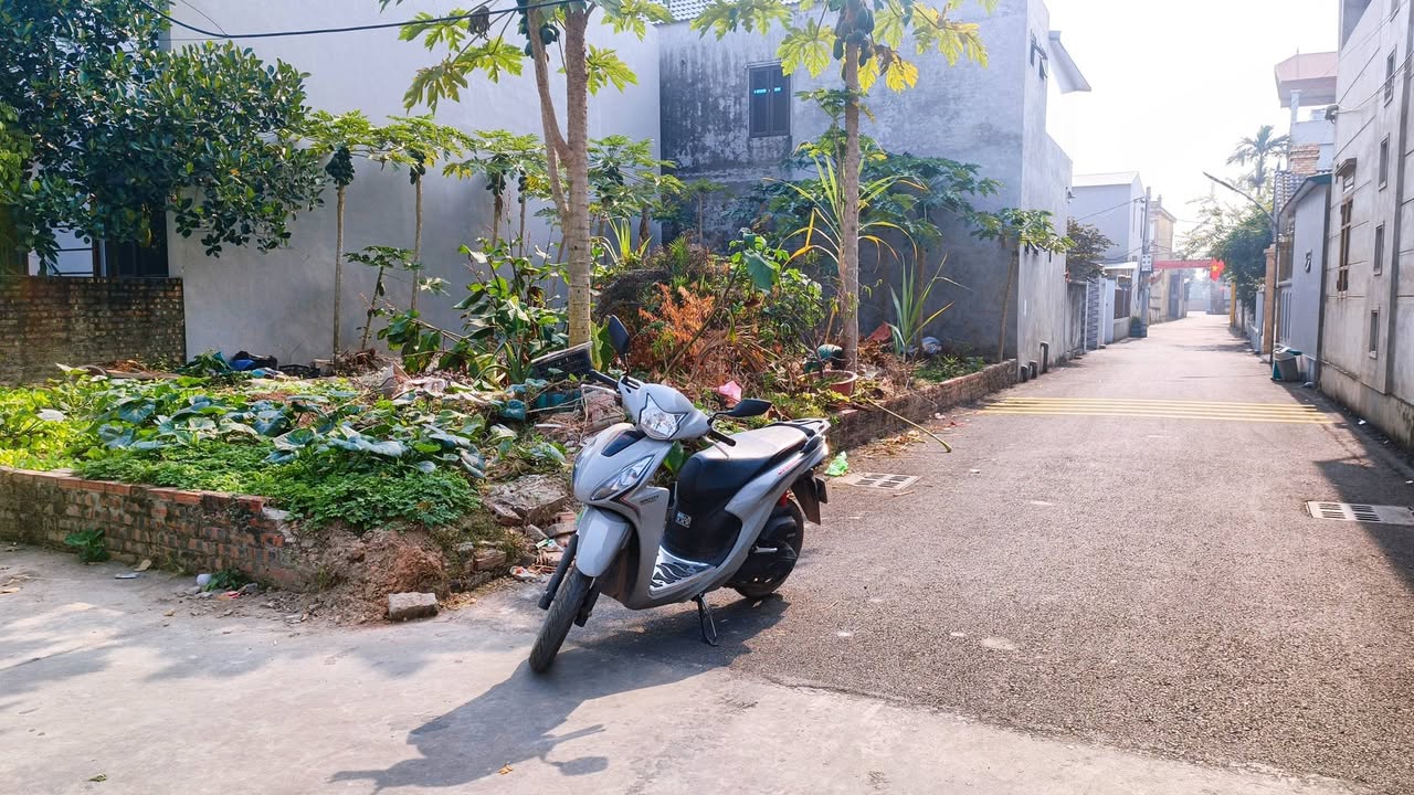 Đất lô góc Mai Đình 132m² giá thỏa thuận - Đầu tư sinh lời ngay!