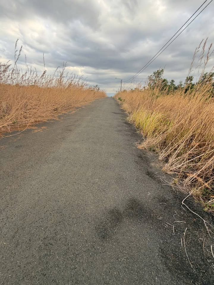 Đất thổ cư Đăk R'Moan 132m² giá chỉ 350 triệu - Cơ hội đầu tư tuyệt vời!