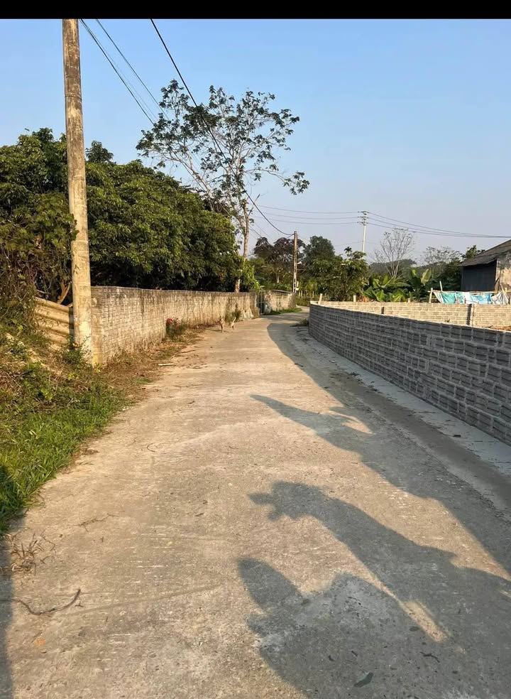 Đất phân lô tại tổ dân phố 2 Trung Môn 128m² giá 500 triệu - Cơ hội đầu tư sinh lời!