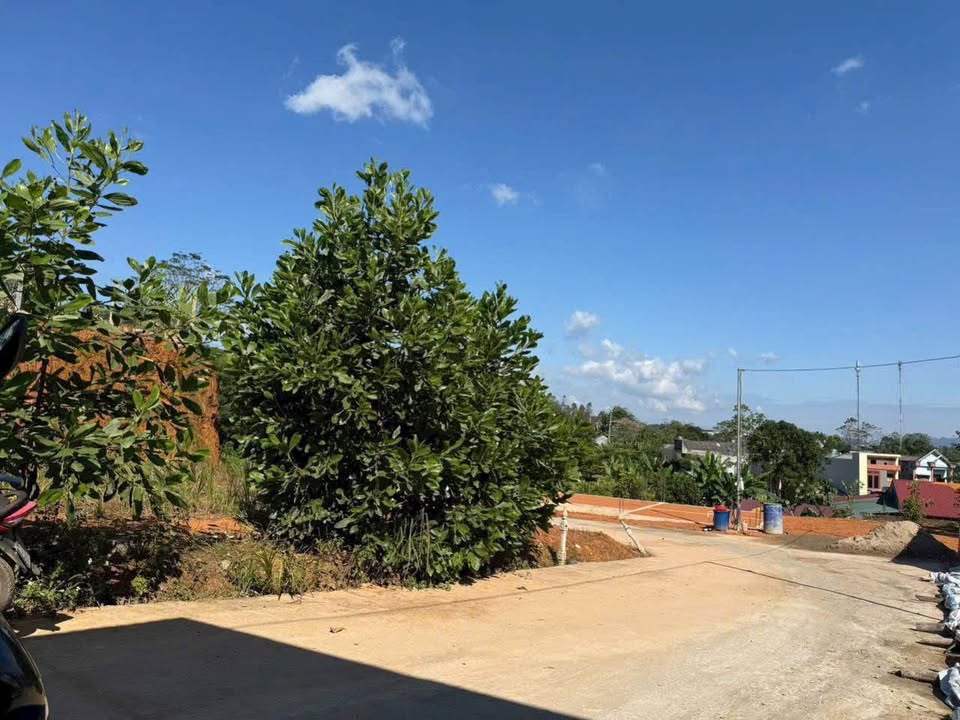 Đất Kim Phú 3, Tuyên Quang 99m² - Giá thỏa thuận, hướng Đông Nam, sổ hồng chính chủ!