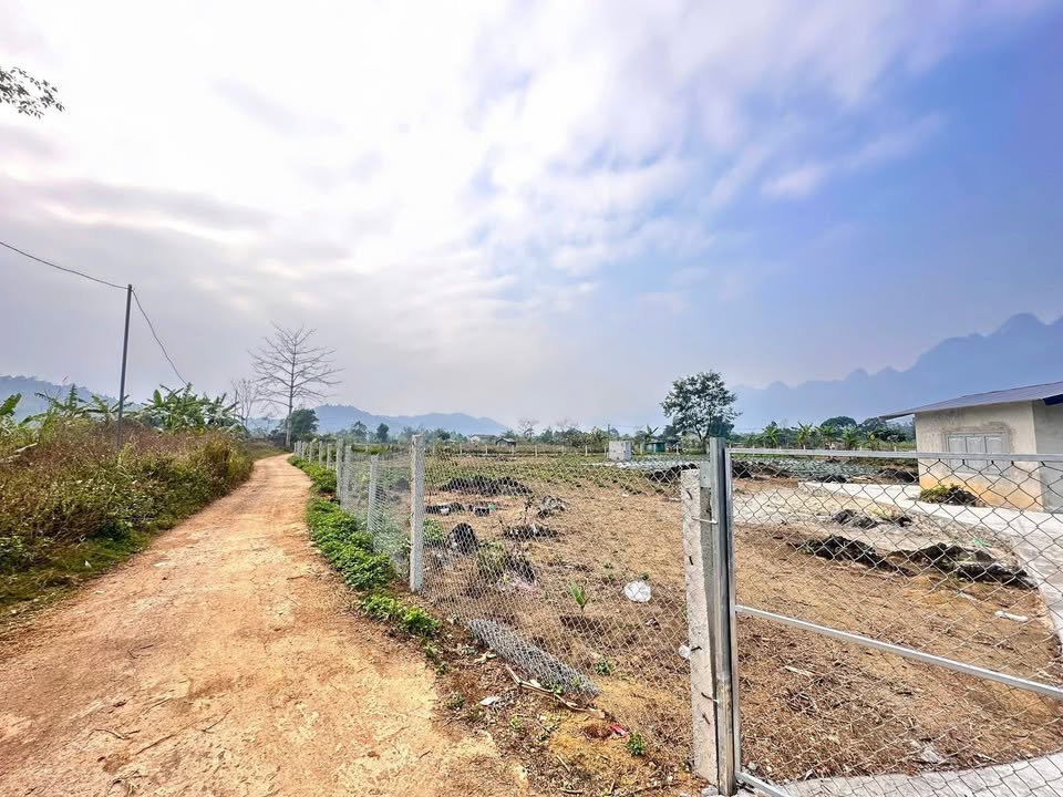 Đất nền Phong Quang, Vị Xuyên 959m² giá chỉ từ 600 triệu - Cơ hội đầu tư hấp dẫn!