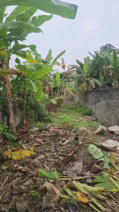 Đất nền xã Ngọc Đường, TP. Hà Giang 92m² giá 890 triệu - Cơ hội đầu tư tuyệt vời!