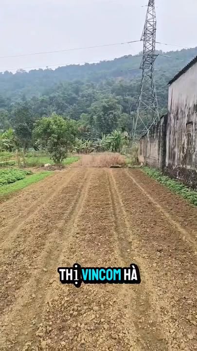 Đất thổ cư 150m² tại Trung đoàn 877, Hà Giang - Giá 1.35 tỷ, An cư lý tưởng!