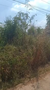 Đất chính chủ xã Thuận Phú 1800m² giá 740 triệu - Hướng Tây Nam, mặt tiền đường bê tông!