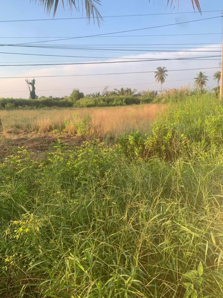 Đất nền trung tâm xã U Minh, Cà Mau 500m² - Tiềm năng kinh doanh vượt trội!