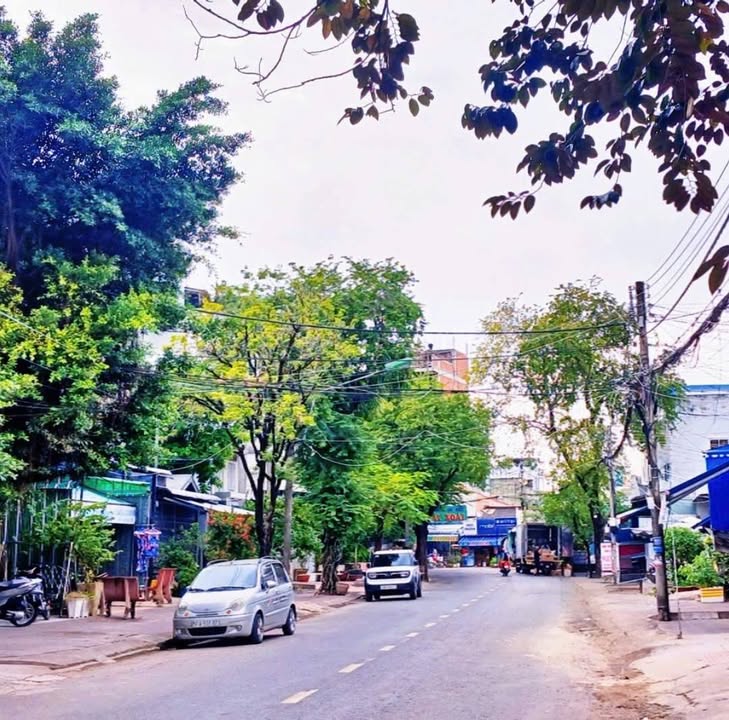 Nhà cho thuê tiện kinh doanh tại đường Phạm Hồng Thám, Cà Mau - Diện tích 285m² chỉ 20 triệu/tháng!