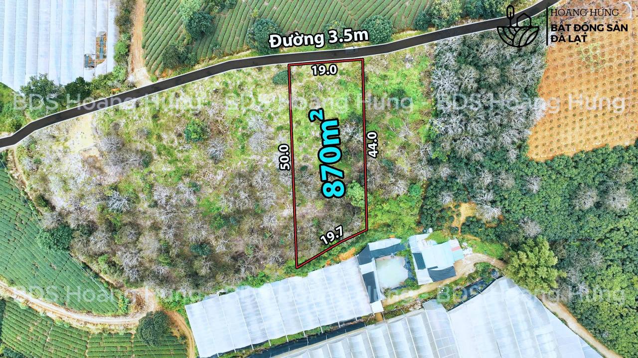 Đất nền Cầu Đất Đà Lạt 870m² giá 1.65 tỷ - View điện gió đồi chè tuyệt đẹp!