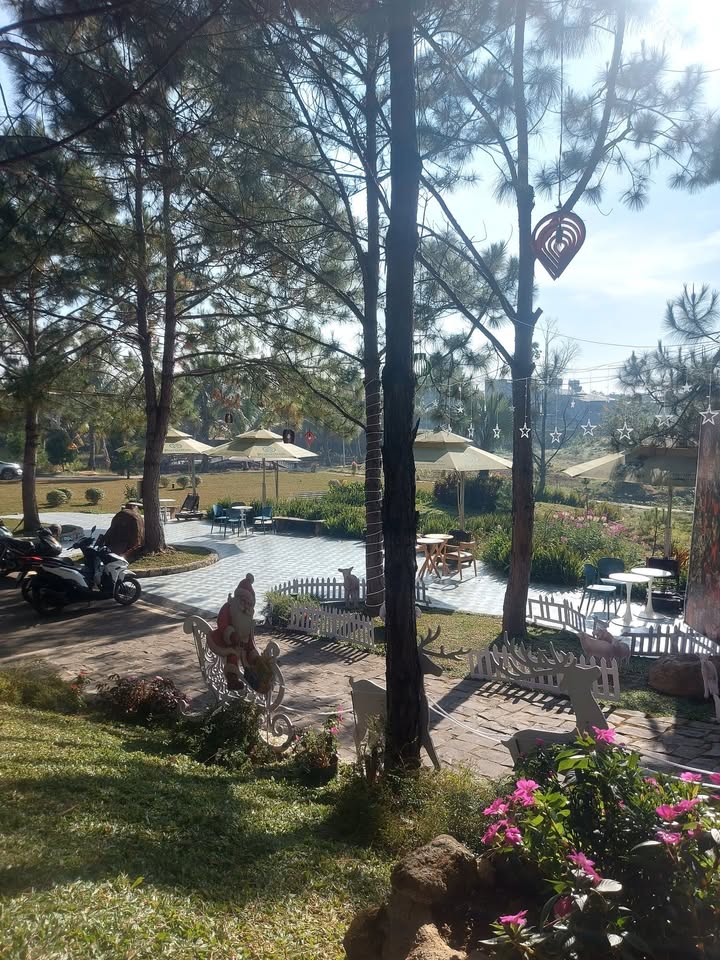 Đất nền Tân Văn, Lâm Hà 2400m² giá 420 triệu - Cơ hội đầu tư lý tưởng!