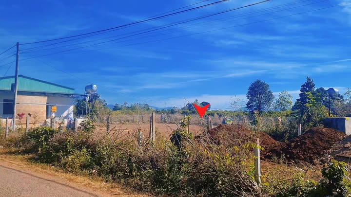 Đất thổ cư Làng Brong, xã Nghĩa Hưng 125m² giá 200 triệu - Cơ hội đầu tư hấp dẫn!