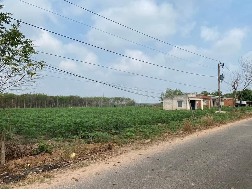 Đất nền Thạnh Bình, Tân Biên 38.000m² giá 7.5 tỷ - Cơ hội đầu tư hấp dẫn!