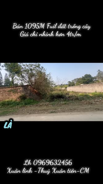 Đất thổ cư Thôn Xuân Linh, Chương Mỹ 1095m² giá 4.38 tỷ - Đầu tư sinh lời ngay!