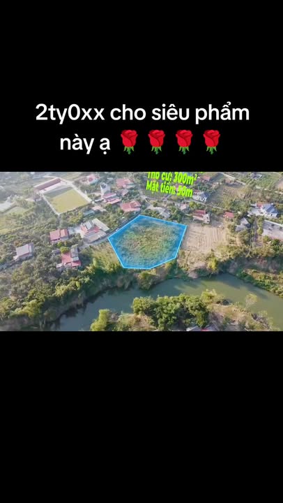 Lô vườn 3500m² tại Dầm Chúc, Tân Sỏi - Phù hợp làm trang trại hoặc nghỉ dưỡng!